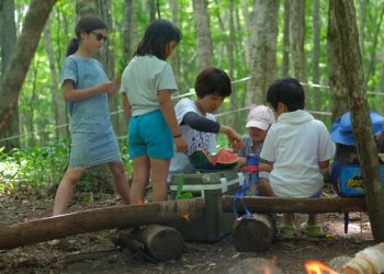 Dự án friend forest school
