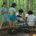 Dự án friend forest school