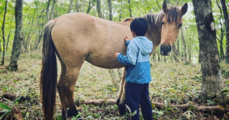 bài học từ loài ngựa